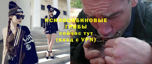 прущие грибы Аркадак