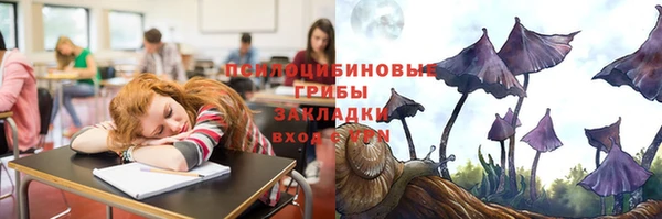 соль ск Армянск