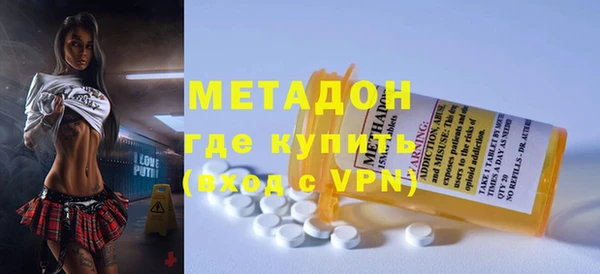 прущие грибы Аркадак