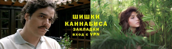 прущие грибы Аркадак