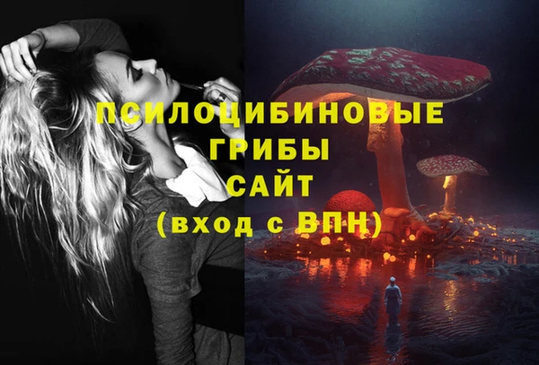 соль ск Армянск