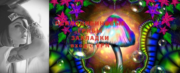 соль ск Армянск