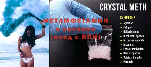 прущие грибы Аркадак