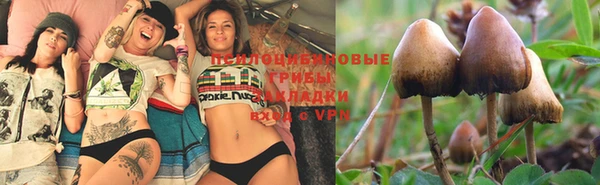 a pvp Арсеньев