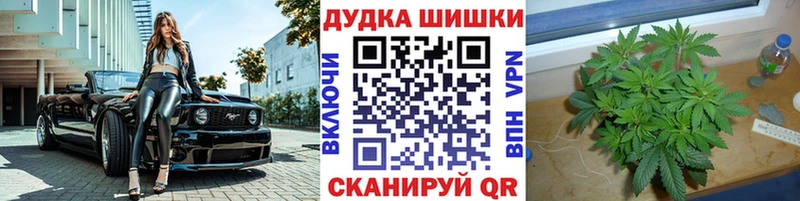 как найти закладки  Суворов  Марихуана семена 